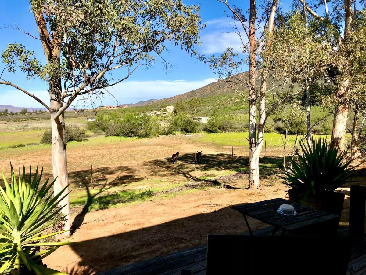Casa Mayoral B&B Pet Friendly Valle de Guadalupe Exterior foto